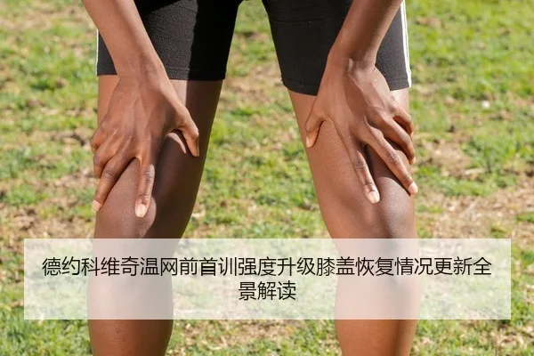 德约科维奇温网前首训强度升级膝盖恢复情况更新全景解读