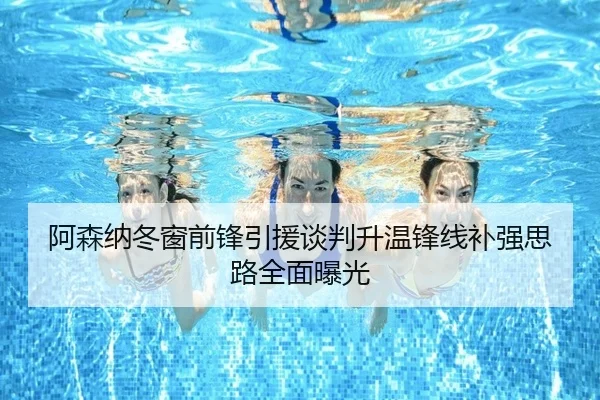 阿森纳冬窗前锋引援谈判升温锋线补强思路全面曝光